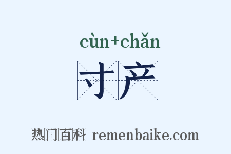 寸产是什么意思的图片